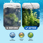 💥BUY 1 GET 1 FREE💥Powerful Aquarium Water Clarifier