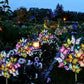 🦋Breathe Life into Your Garden Day & Night. Solar Butterfly Lights with Dual Modes – Automatic Magic. ✨💐