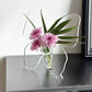 🦋 Transparent Butterfly Vase – crystal-clear plastic with a stable base. Perfect for flowers, table decor and gifting! ✨💐