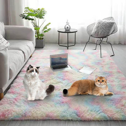 🔥2026 Hot Sale🔥 Gradient Color Plush Floor Mat