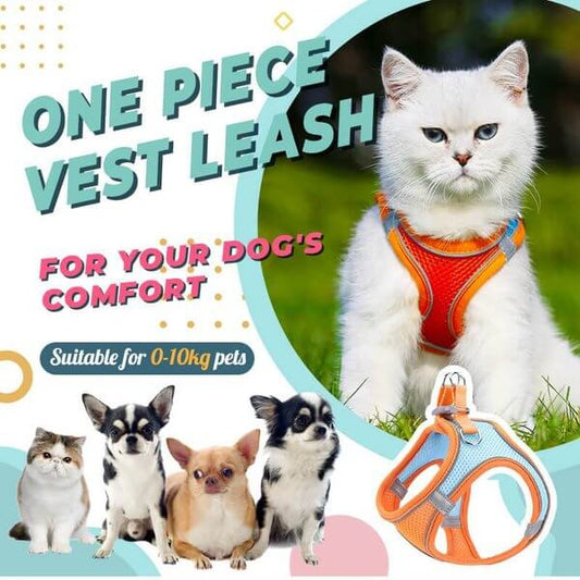 🔥Last Day Promotion 50% OFF🐱🐶 Put it on and you’re sorted! An ultra-lightweight, breathable, reflective one-piece harness✨