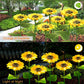 🌻 BUY 2 GET 1 FREE! ☀️ Sunflower Solar Lights – Glowing Petals, Auto On/Off & Perfect for Garden & Pathway Decor 🌙