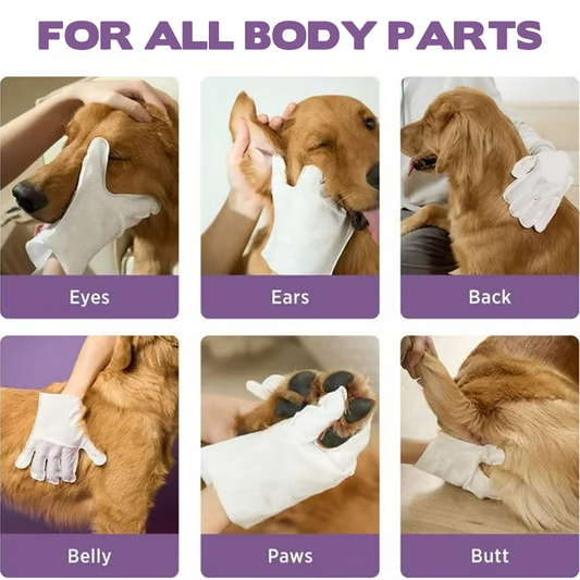 🐾 BUY 2 GET 1! 🧤 RINSE-FREE PET GLOVES - Deep Cleans & Deodorizes in One Step, Soft Silicone Tips for Massage, Safe for Cats and Dogs 🐶🐱✨