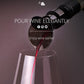 2 In 1 Red Wine Stopper