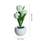 🔥2026 New Arrivals: 40% Off for a Limited Time!🔥LED Tulip Night Light Flower Table Lamp🌷