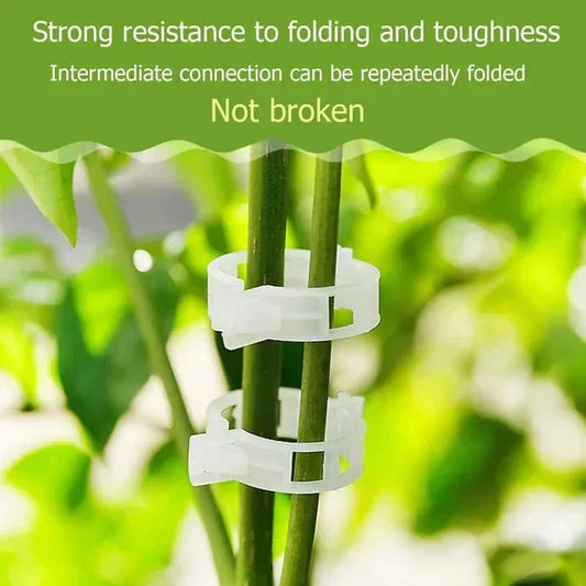 💥2026 Hot Sale 50% OFF💥 Secured Plastic Plant Clip（BUY 1 GET 1 FREE）