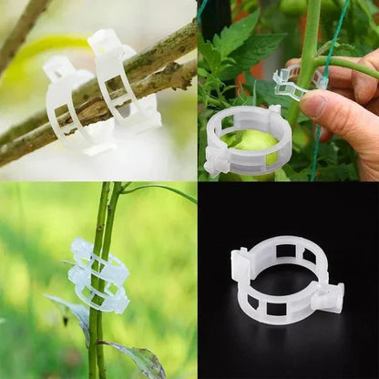 💥2026 Hot Sale 50% OFF💥 Secured Plastic Plant Clip（BUY 1 GET 1 FREE）