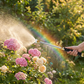 💦 LIMITED OFFER: 50% OFF! 🚿 High-pressure water gun – 3 interchangeable nozzles, durable aluminium alloy & powerful ✨