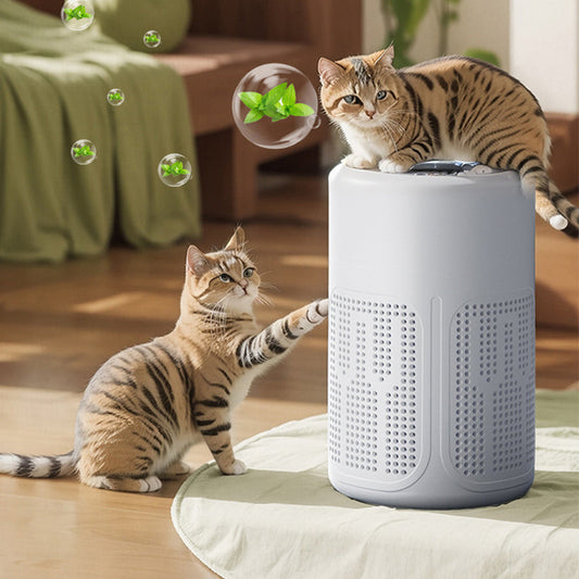 💐50% OFF! Silent Air Purifier – Peaceful sleep, no noise 🔇😴【Limited Offer】