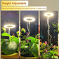 💡 50% OFF NOW! 🌱 LED Angel Ring Plant Grow Light – Full Spectrum, Energy-Efficient & Perfect for Indoor Plants Year-Round 🌿