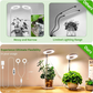 💡 50% OFF NOW! 🌱 LED Angel Ring Plant Grow Light – Full Spectrum, Energy-Efficient & Perfect for Indoor Plants Year-Round 🌿