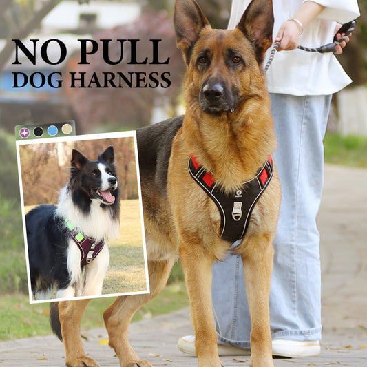 📢📢30% OFF !! ⏰No Pull Dog Harness with Leash & Collar LED
