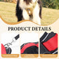 📢📢30% OFF !! ⏰No Pull Dog Harness with Leash & Collar LED