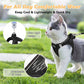 📢📢40% OFF !! ⏰Reflective Mesh Harness and Leash Set for Cats & Small Dogs