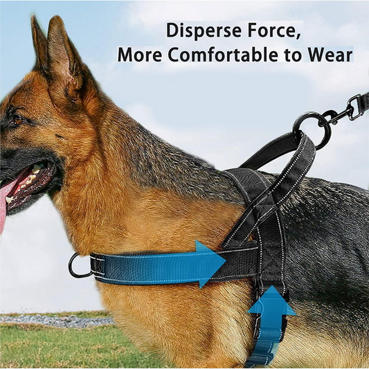 🥳2026 HOT SALE🥳🐕💪 50% OFF! Heavy‑Duty Tactical Dog Harness – No‑pull, no‑choke. 🛡️✨