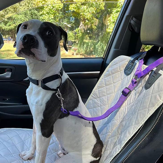 🏆 Last Day Special Price £7.99 ! 🔥Buy more save more🎁2-in-1 Dog Car Seat Belt & Walking Leash