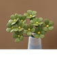 🏆LAST DAY SALE 50% OFF🔥Everlasting Ceramic Floral Decoration