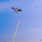 ⏳LAST DAY SALE!!🔥Handheld Fishing Rod Kite Toy for Children🪁