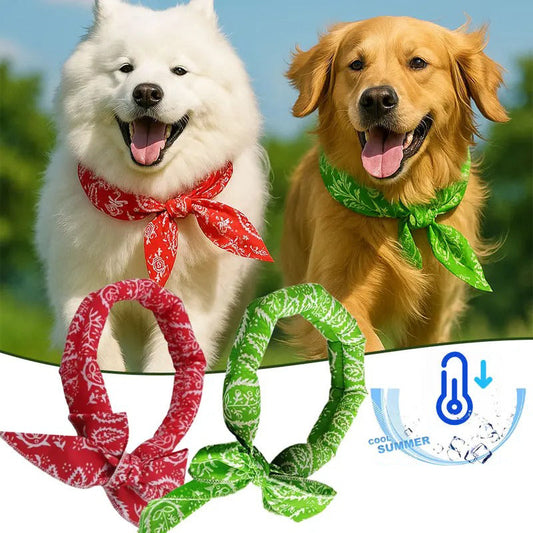 ⏳LAST DAY SALE ONLY ￡6.99!!🎀 Cooling Collar – Summer Relief for Dogs & Cats 🌞❄️  Vet-Safe • Reusable • No Freezer Needed • Made for British Heatwaves!