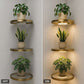 🎉 2026 Sale — Over 27,000 Sold!  Floating Wall Shelf with Built-in Ambient LED Light – Modern Plant Display 💛