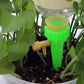 💧 2026 Sale — Over 54,900 Sold! 🌱 Adjustable Automatic Water Control Timer for Green Plants