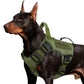 ⏳🔥LIMITED-TIME 50% OFF! ⏰🐕 Durable Oxford Fabric Dog Harness Vest – Safe, Adjustable, Comfortable 🥾✨