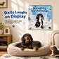 🐶 Save 50%! 🗓️ Naughty Dachshunds Calendar – Cute & wall-ready ✨