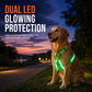 🔥50% OFF!!📢🐕 LED Light-Up Dog Harness – Stay More Visible on Evening Walks & Keep Your Pup Comfortable ✨